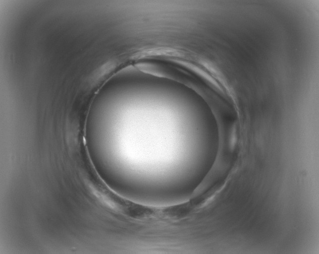 X0000082720201200701261228