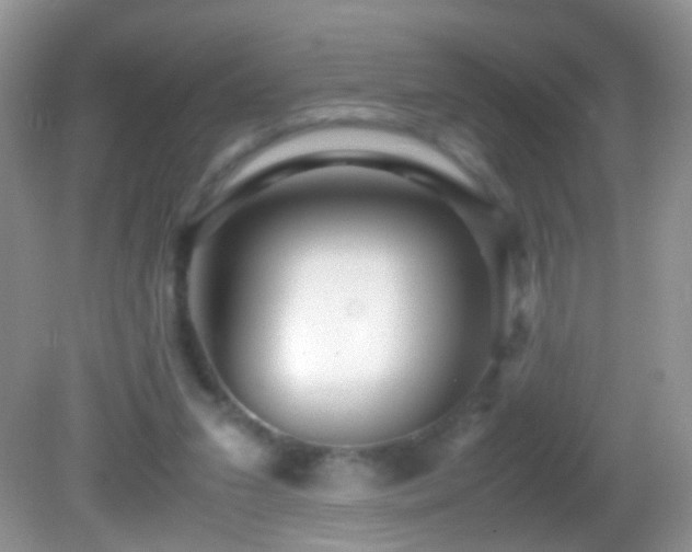 X0000082720207200701261228