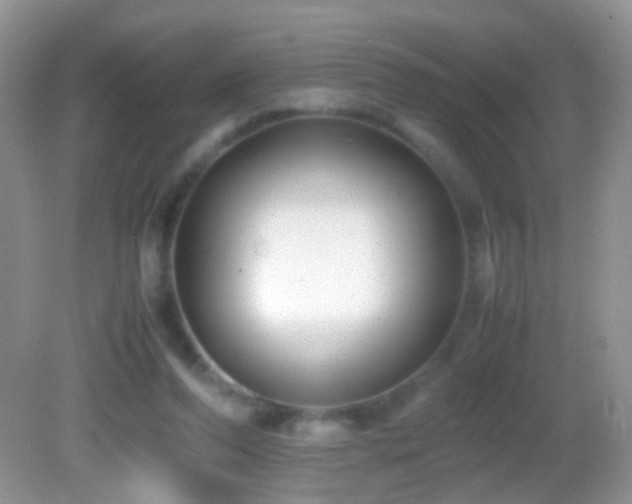 X0000082720208200701261227