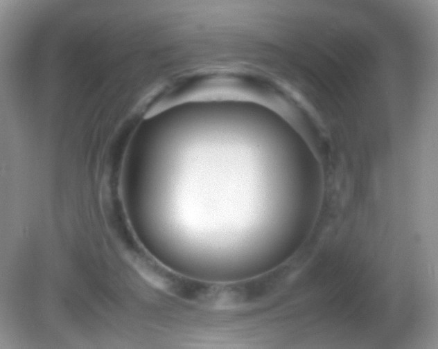 X0000082720209200701261227