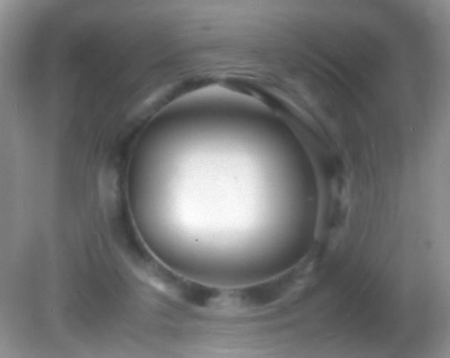 X0000082720211200701261227