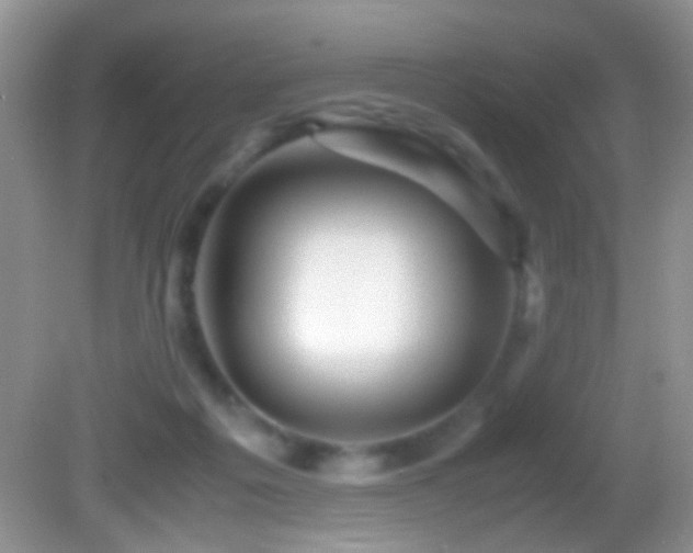 X0000082720217200701261227