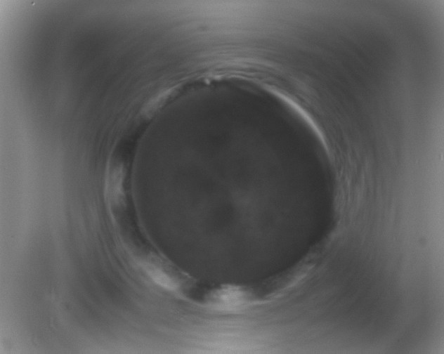 X0000082720219200701261227