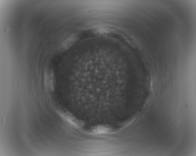 X0000082720223200701261227