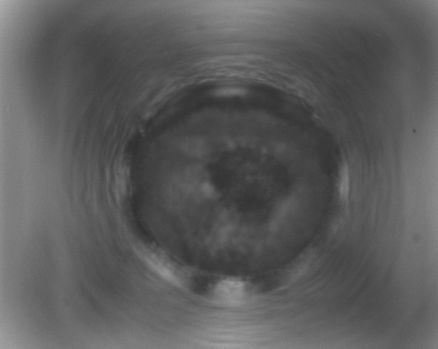 X0000082720227200701261227