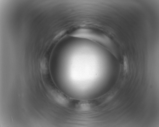 X0000082720228200701261227