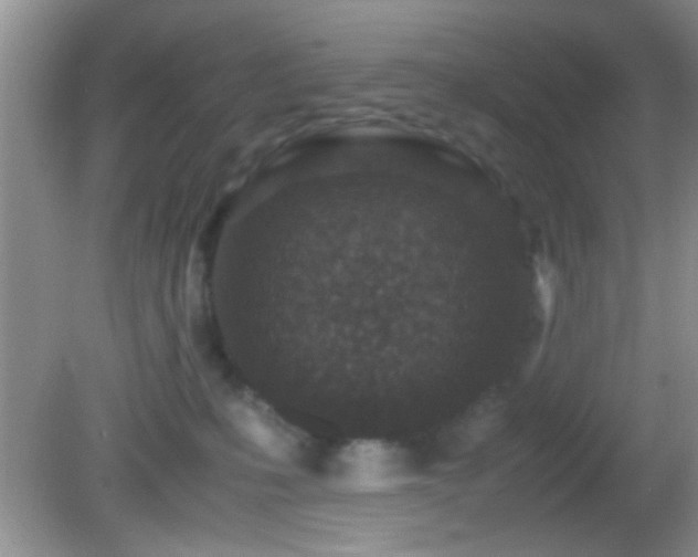 X0000082720231200701261227