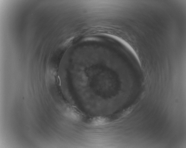 X0000082720235200701261227