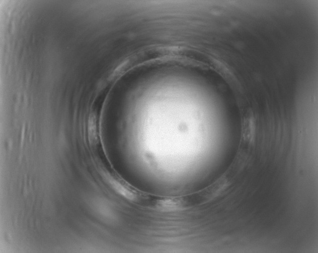 X0000082720238200701261227