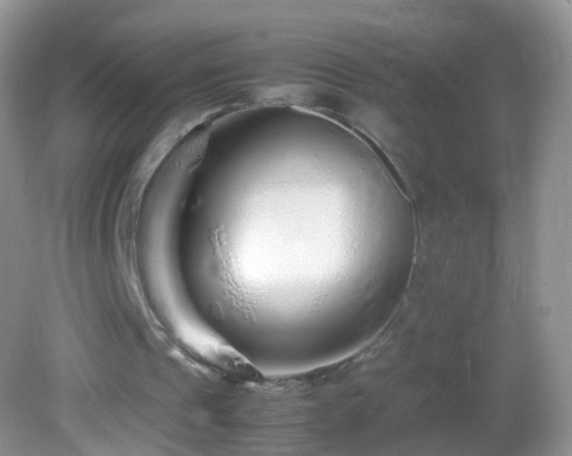 X0000082720241200701261226