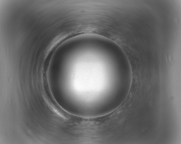 X0000082720242200701261226