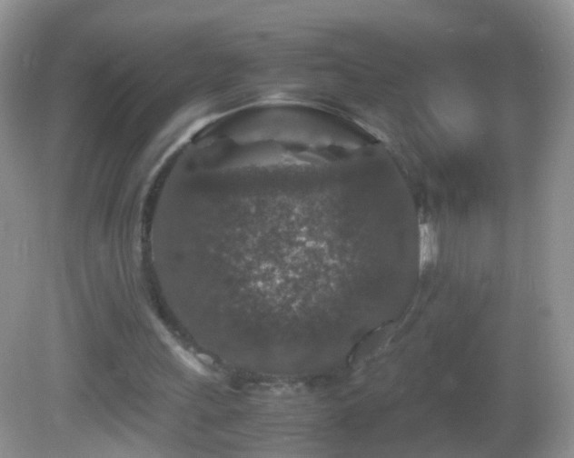X0000082720243200701261226
