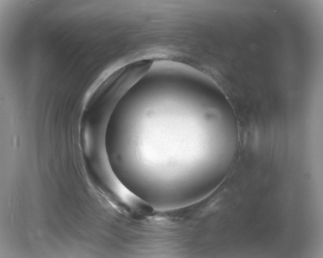 X0000082720244200701261226