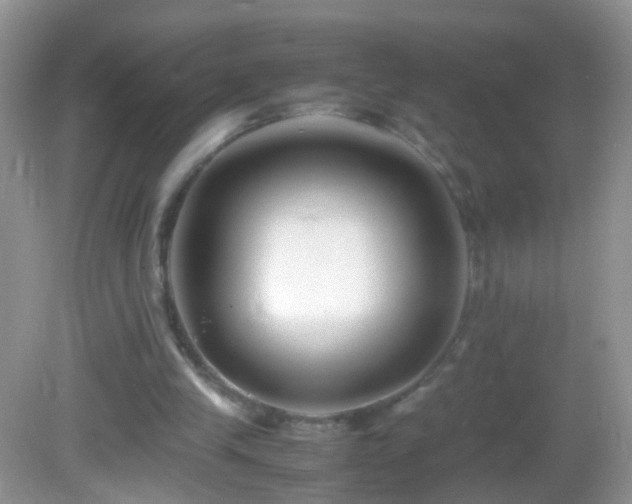 X0000082720245200701261226