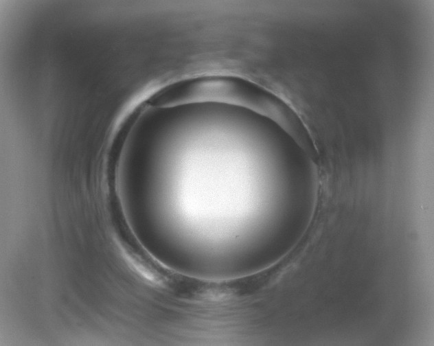X0000082720248200701261226