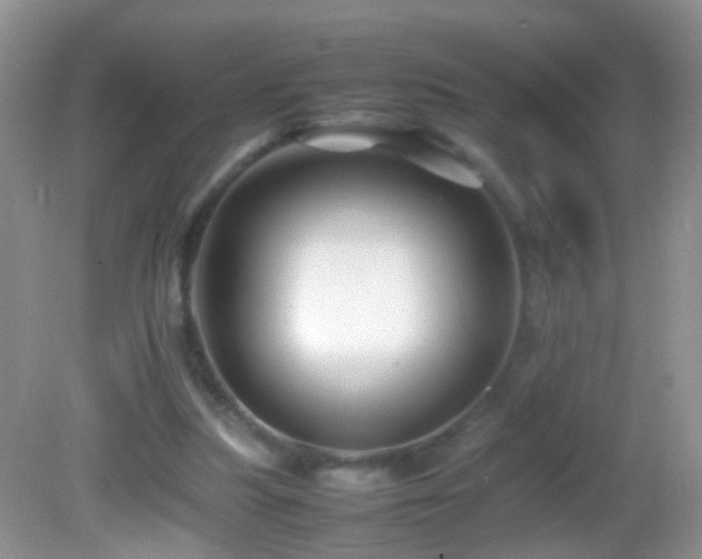 X0000082720251200701261226