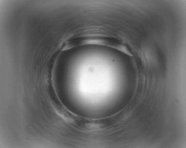 X0000082720255200701261226
