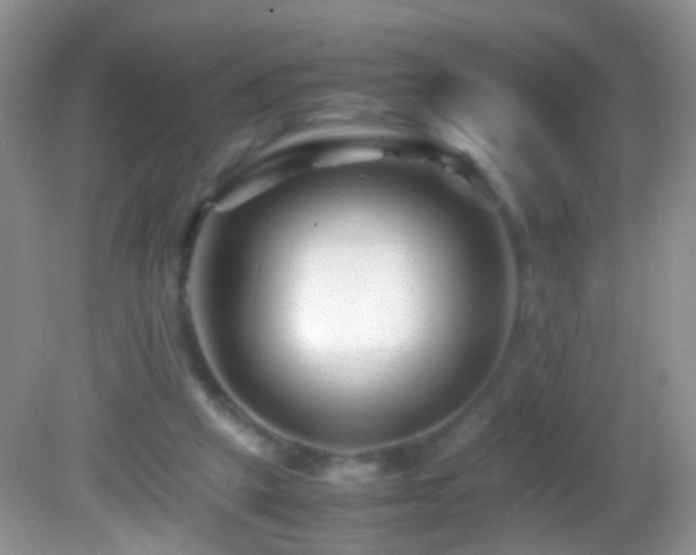X0000082720257200701261226
