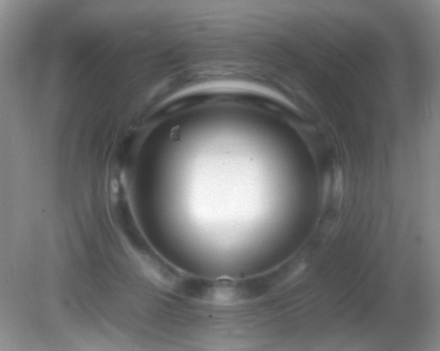 X0000082720264200701261227
