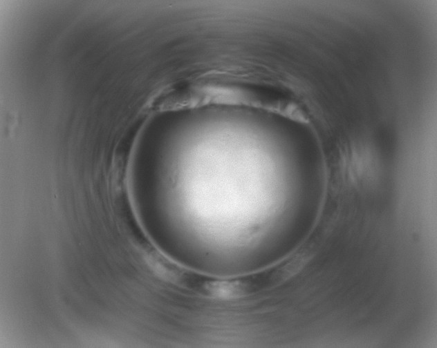X0000082720273200701261227