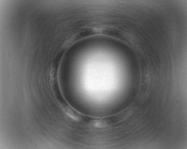 X0000082720275200701261227