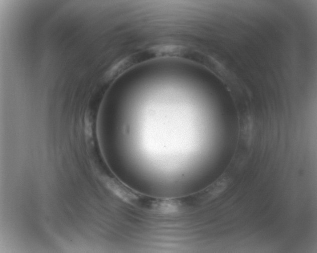 X0000082720282200701261227