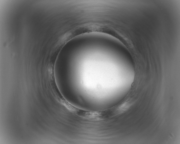 X0000082720288200701261227