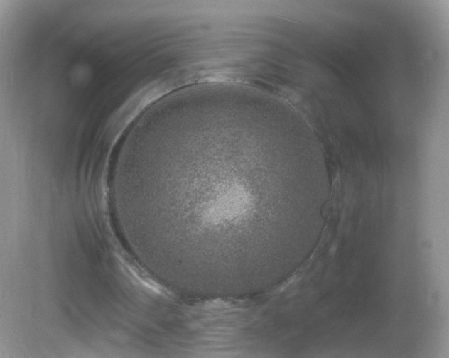 X0000082720290200701261226