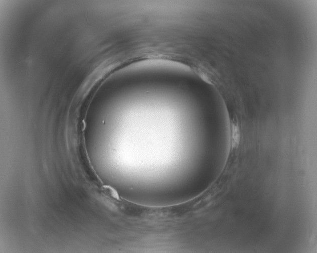X0000082720291200701261226
