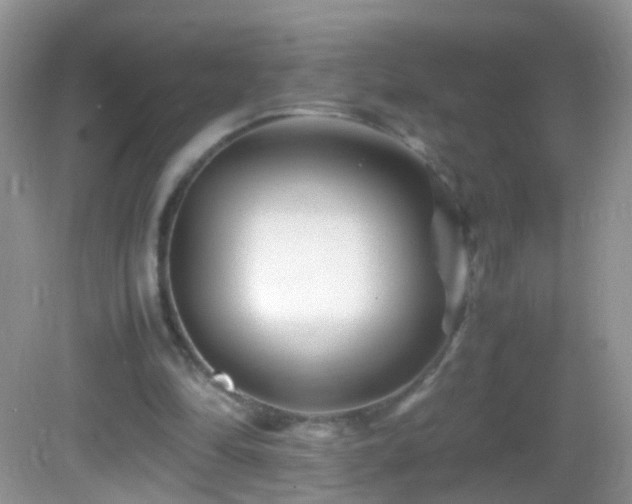 X0000082720294200701261226