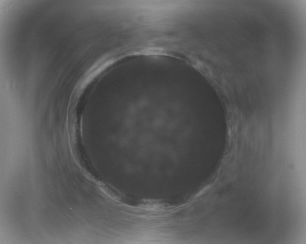 X0000082720295200701261226