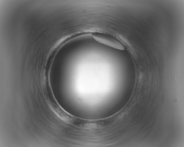 X0000082720298200701261226
