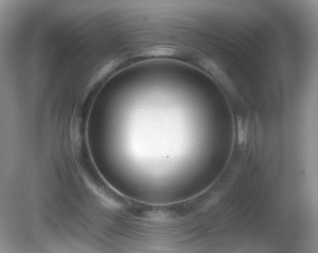 X0000082720300200701261226
