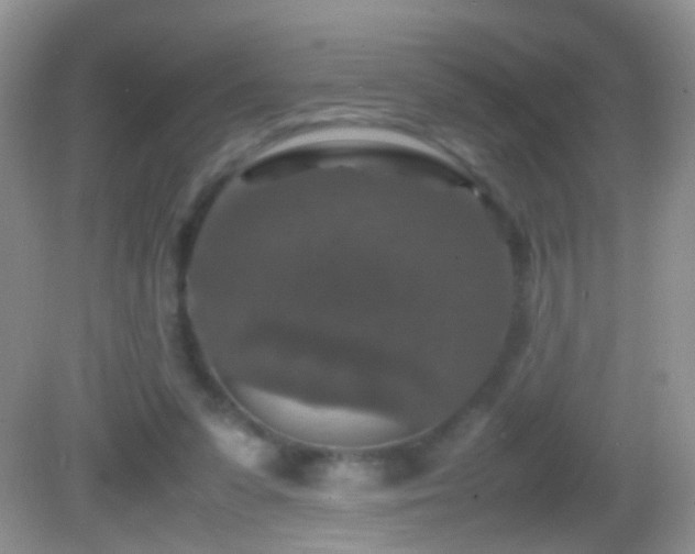 X0000082720303200701261226