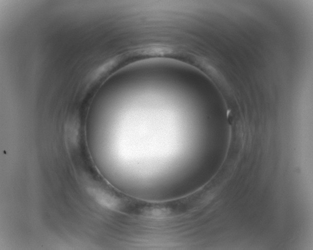 X0000082720304200701261226