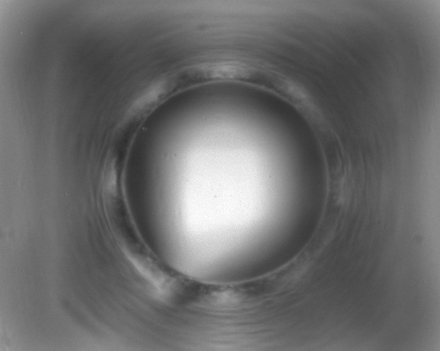 X0000082720310200701261226