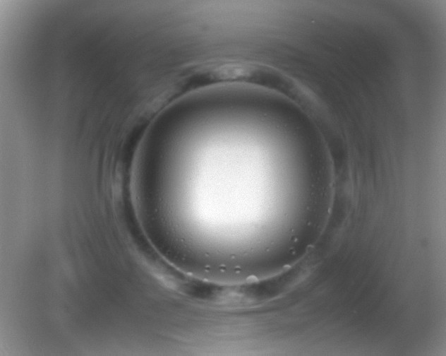X0000082720315200701261226
