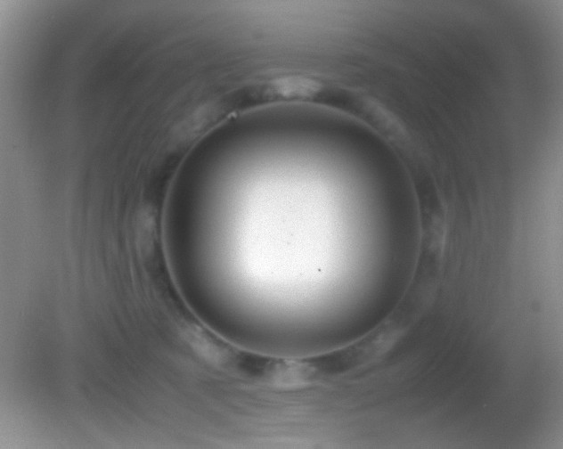 X0000082720321200701261226
