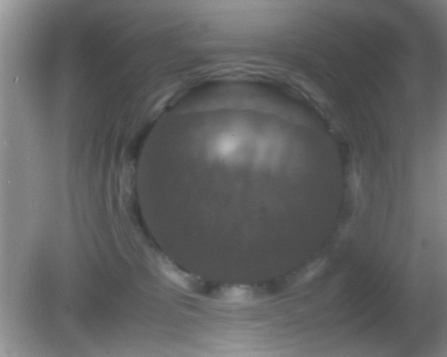 X0000082720325200701261226