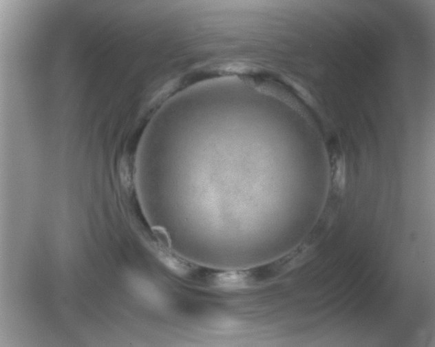 X0000082720335200701261225
