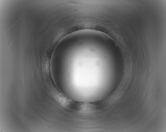 X0000082720336200701261225