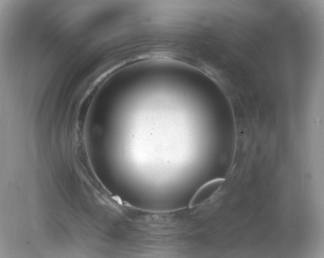 X0000082720338200701261225