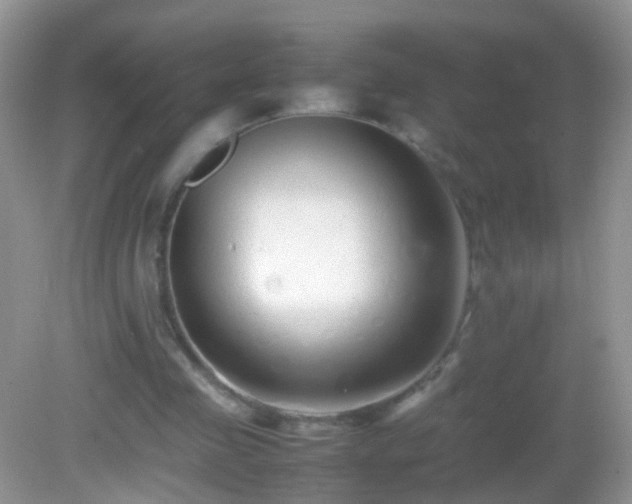 X0000082720341200701261225