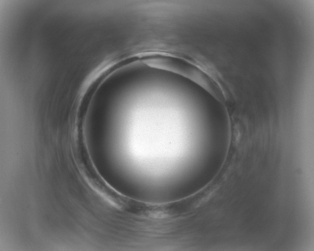 X0000082720344200701261225