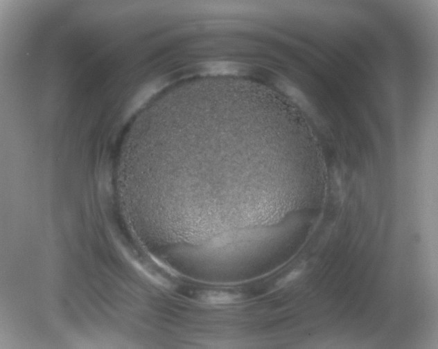 X0000082720347200701261225