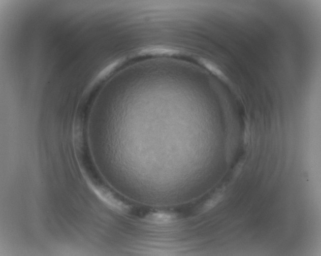 X0000082720352200701261225