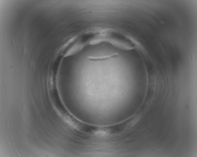 X0000082720358200701261225