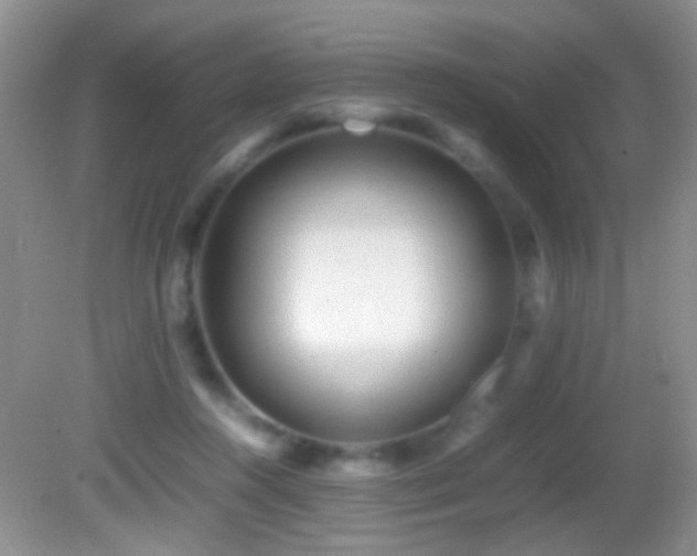 X0000082720360200701261225