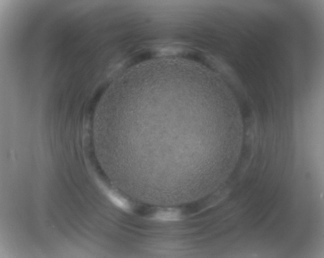 X0000082720369200701261225