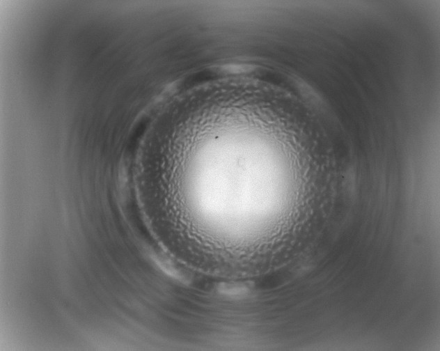 X0000082720373200701261225